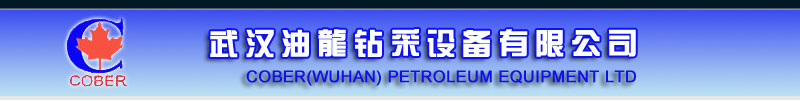Cober (Wuhan) Petroleum Equipment Ltd.